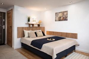 Willa Sowia nowe apartamenty nad górskim potokiem zachwycający widok na góry