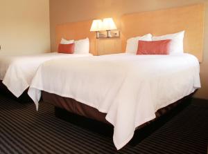 Double Room with Two Double Beds room in Regency Inn