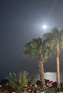 Independent Room in private villa with view1