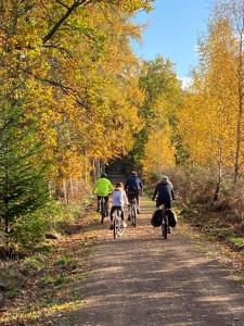 Carmel Cottage - Forest of Dean