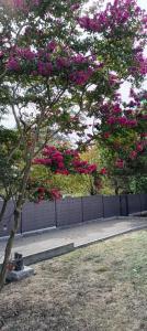 Pavillon bord de mer - 10min des plages en vélo