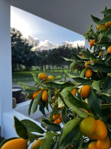 Villa Sarcapos Castiadas img21