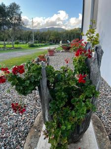 Villa Sarcapos Castiadas img20