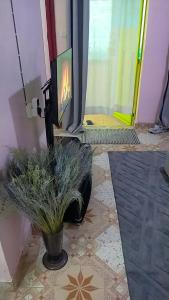 Furnished house Kakamega