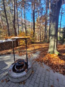 Ružín-Chata Rolova Huta