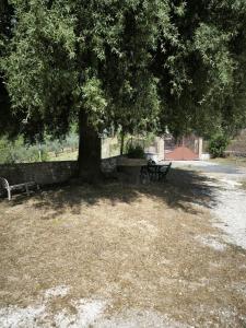 Country house in Sabina