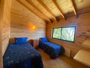 Vistas panorámica a Lago y Volcán