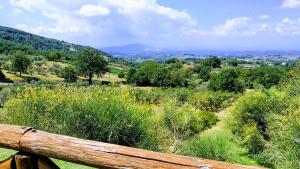 Agriturismo Caprareccia Bianca