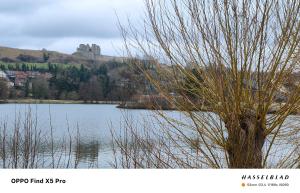 Le cocon normand studio de jardin et son écrin de verdure