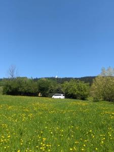 PRAHA nejlevnější