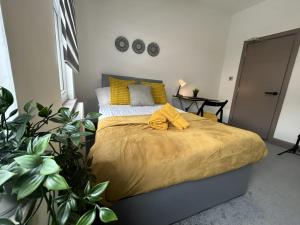 S1 Ensuite Room Shared Kitchen & Living Area, NHS & Contractor Friendly