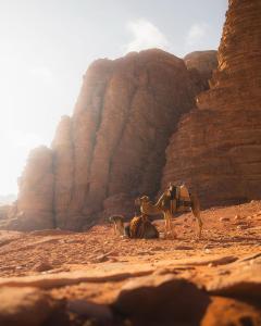 A luxurious experience under the stars of Wadi Rum