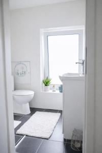 Studio Apartment 3 - Komfort & Günstig