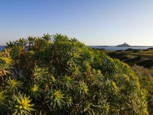 Is Molas Domus Gaia img10