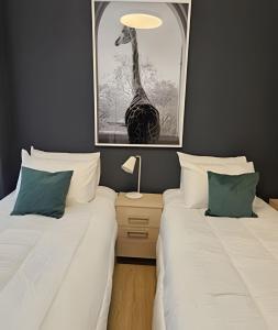 Premium a estrenar en Recoleta