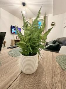 Spacieux duplex, centre ville,10min Paris