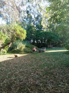 Brisa de Mar - Playa Los Lobos