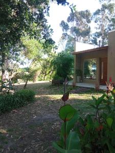 Brisa de Mar - Playa Los Lobos