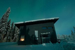 Villa Aurora of Lapland - Under the Northern Lights