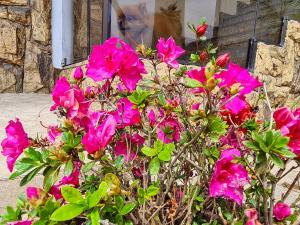 Entre praias e Beto Carrero, refúgio!