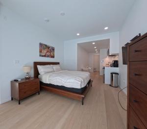 Modern Brand New Stylish Fully Furnished Studio Close to Downtown