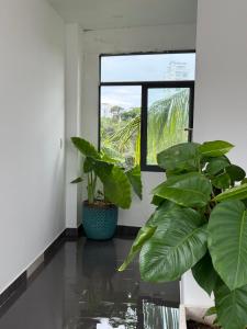 Panorama room in the heart of PhuQuoc