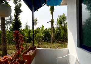 The Wildcamp - Coorg