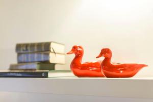 Appartamento Cairoli