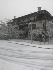 Tsvetelina and Mitko