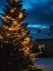 Agroturystyka Zdrowo przez sad