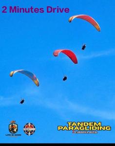 Jace Haven 1 Room 2 Beds