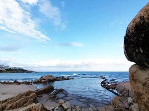 BillsBest Weavers Nest