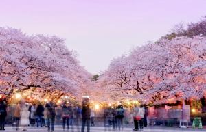 -Park Higashiueno- 4-minute walk from Ueno Station