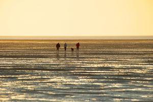 Ferienwohnung Watten Perle