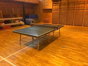 Apartmány ve sportovní hale