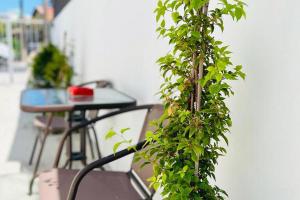 Larnaca - Studio - Sleeps 4 - Garden - Parking