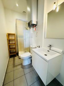 118 Gerland - Studio - Gerland