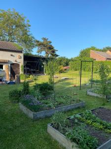 Käthes Sommerfrische