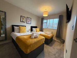 Modern homely well equipped 2BR bungalow next to the racecourse free parking