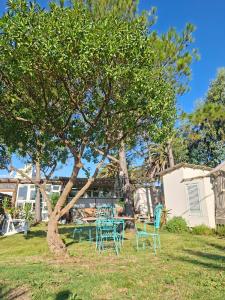 Yurtas Playa San Francisco