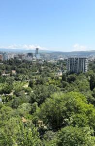 GG Home - 2-bedroom apartment at the Mziuri park