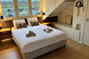 Wellness Villa voor 10 personen met Sauna & Hottub