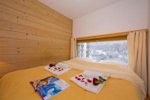 Résidence Grand Roc - Ancolies 220 - Happy Rentals