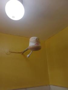 Masqani studios muthiga