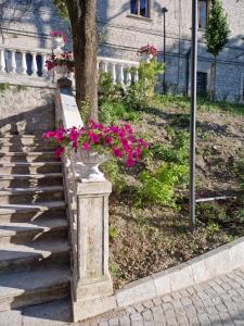 Domus Mazzini img31