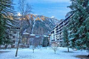 Chamonix Sud