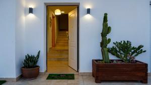 Villa Las Arenas in San José, Cabo de Gata-Nijar