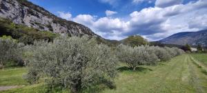 Le Rissas, gîte 4 p au pied du Mont ventoux