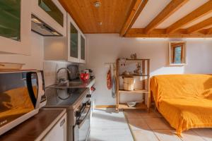 Résidence Grand Roc - Ancolies 017 - Happy Rentals
