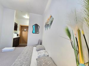 S7 Mint studio apartment